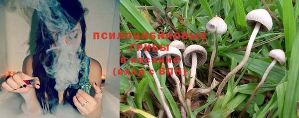 прущая мука Абинск