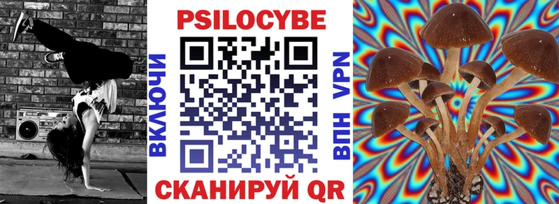 Псилоцибиновые грибы мицелий  маркетплейс Telegram  МЕГА зеркало  Нестеровская  продажа наркотиков 